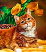 Рыжий котик возле тюльпанов