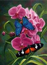 Бабочки на цветущей орхидее