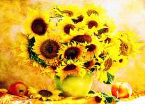 Большой букет подсолнухов и яблоки