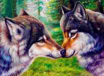 Волчья любовь в густом лесу