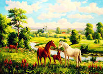 Семья лошадей у небольшой реки