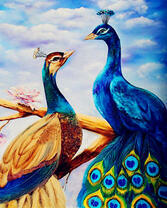 Два павлина на цветущей ветке