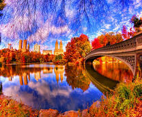 Центральный парк в Нью-Йорке окутан осенними красками