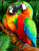 Влюбленные попугаи на одной ветке