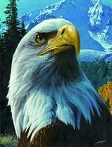 Белоголовый орлан на фоне снежной горы