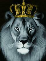 Царь зверей в короне