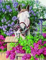 Конь и кот в цветущей сирени