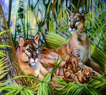 Семейство пум в джунглях