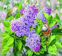 Две птички на ветке цветущей сирени