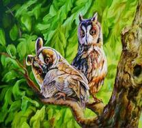 Два молодых филина на летнем дереве