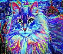 Пушистая кошка и ночные огни