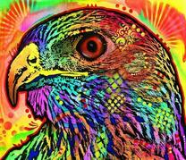 Яркие краски на молодом орле