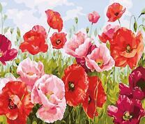 Розовые и красные маки