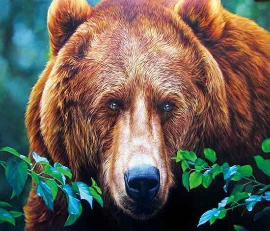 Алмазная мозаика 30x40 Огромный медведь в лесу