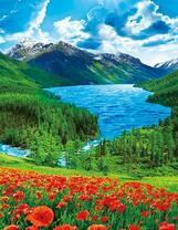 Маки на склоне у озера