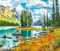 Сухая трава на берегу горной реки