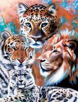 Семейство кошачьих хищников