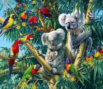 Семья коал и попугаи на дереве