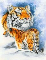 Большая тигрица на снегу