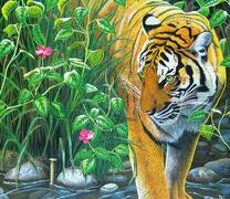 Тигр заходит в ручей