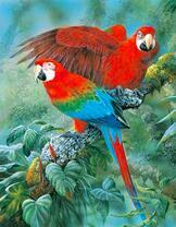 Пара ярких ара в густых джунглях