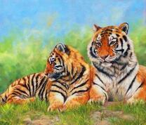 Молодые тигры на весенней травке