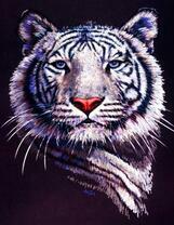 Гордый белый тигр