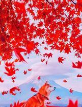 Рыжий пёс под красным деревом