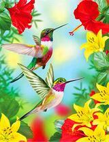 Колибри среди ярких цветов