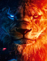 День и ночь в изображении льва