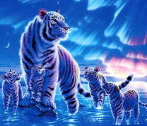 Белая тигрица и ее малыши