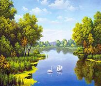 Белые лебеди на фоне прекрасного пейзажа