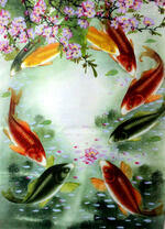 Золотые рыбки в пруду