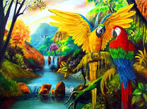 Попугаи в джунглях на фоне водопада