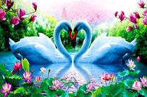 Любовь лебедей среди лотосов и магнолий