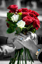 Букет бело-красных роз