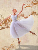 Грация балерины