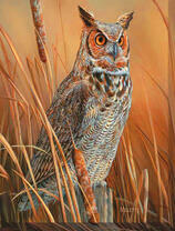Сова в камышах