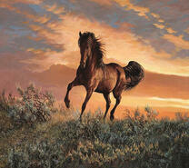 Скакун на закате дня