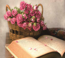 Книга и корзина роз