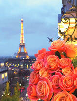 Букет красивых роз на фоне Ейфелевой башни