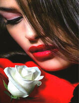 Девушка и белая роза
