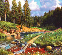 Тропа у реки в сосновом лесу