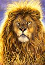 Большой лев на фиолетовом фоне