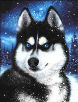 Хаски в ночном лесу