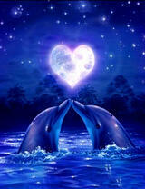 Дельфины целуются на фоне луны