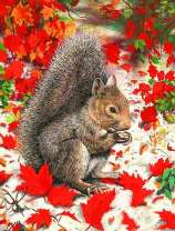 Белочка среди красных листьев