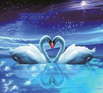 Белые лебеди на озере под полной луной