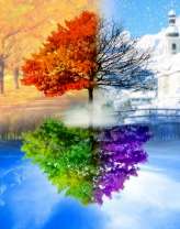 Четыре времени года на одной картине