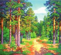 Дорога ведущая сквозь сосновый лес